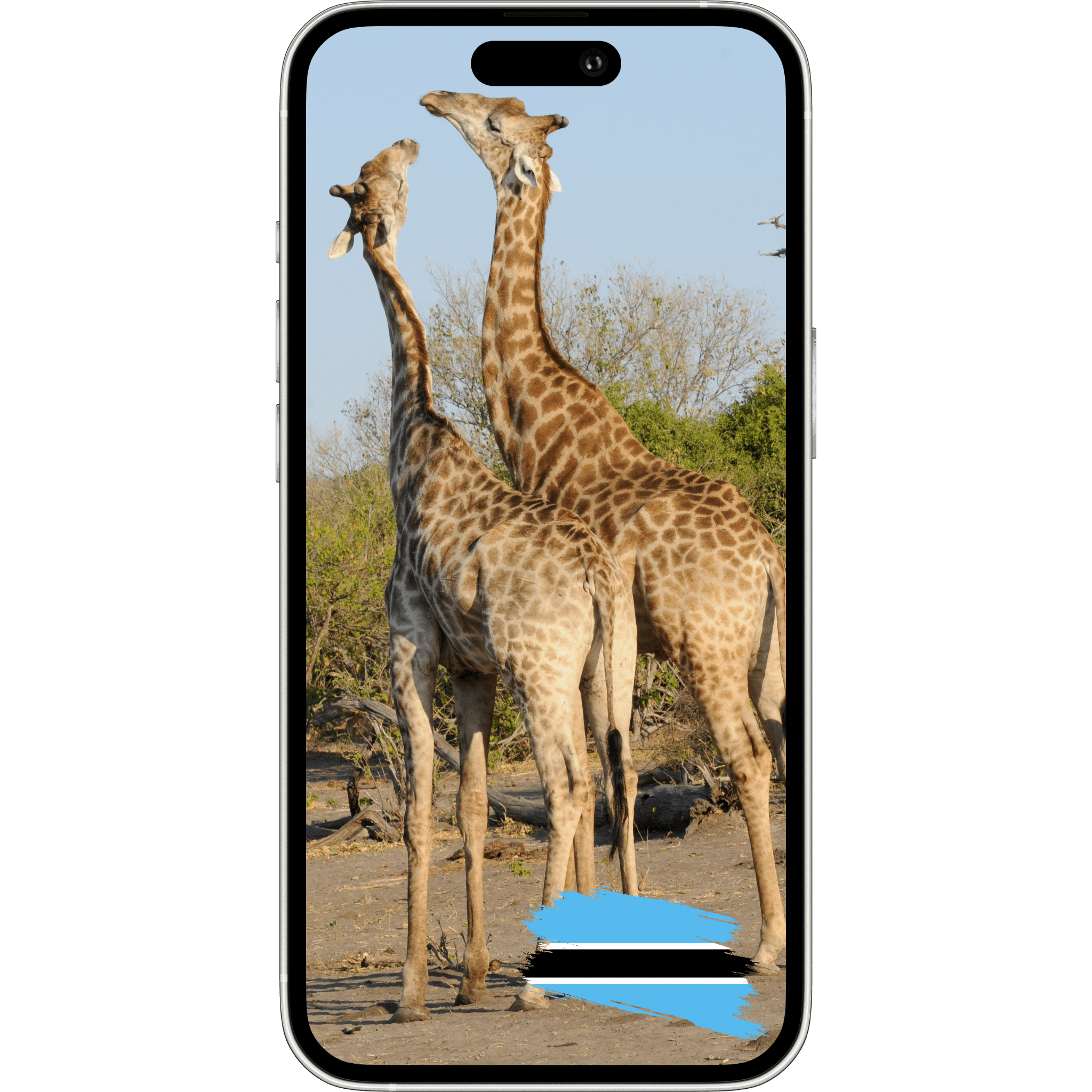 ESimAllo for Botswana - ESimAllo