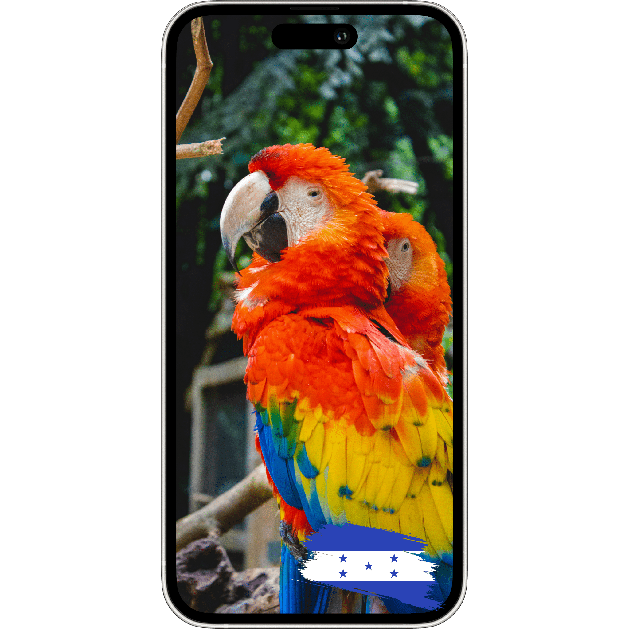 ESimAllo for Honduras - ESimAllo