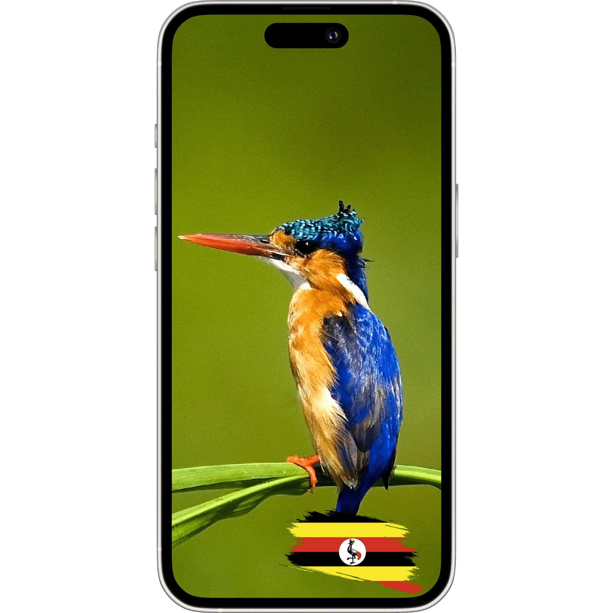 ESimAllo for Uganda - ESimAllo