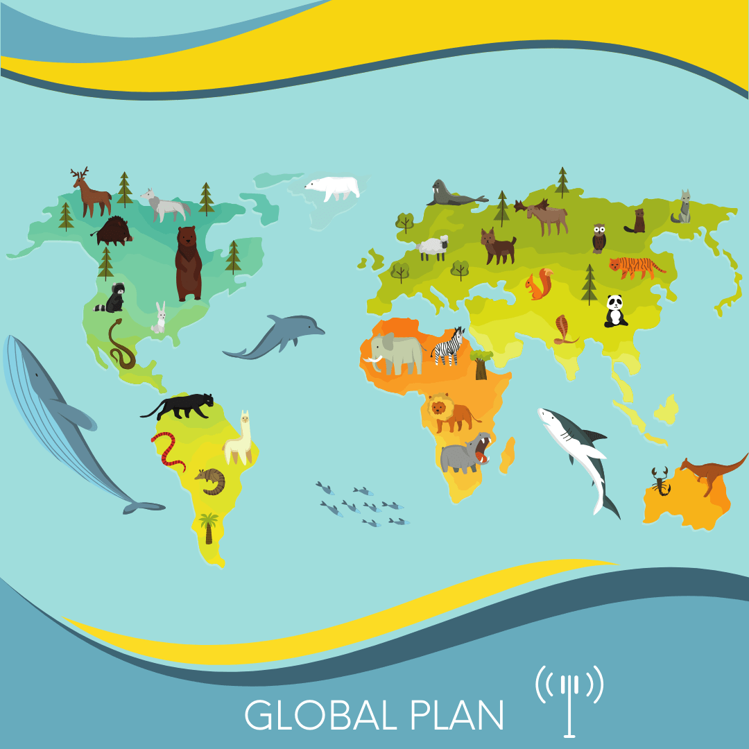 Global (140+ areas) - ESimAllo