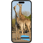 ESimAllo for Botswana - ESimAllo