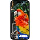 ESimAllo for Honduras - ESimAllo