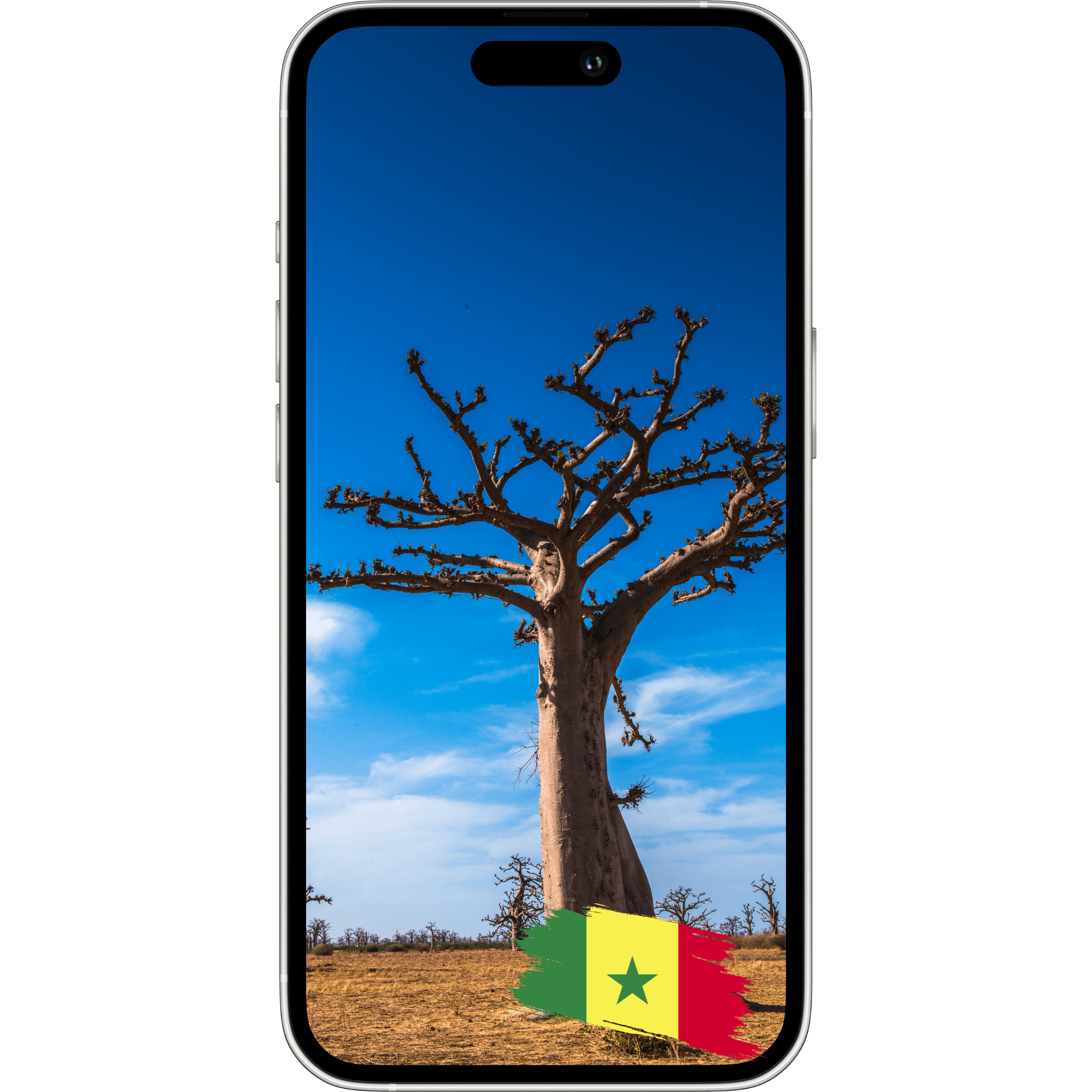 ESimAllo for Senegal - ESimAllo