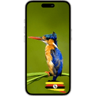 ESimAllo for Uganda - ESimAllo